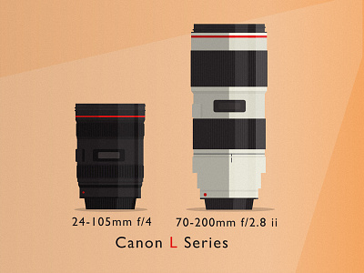 The Pair 24 105mm 70 200mm adobe illustrator camera canon dslr flat style lens lenses nikon