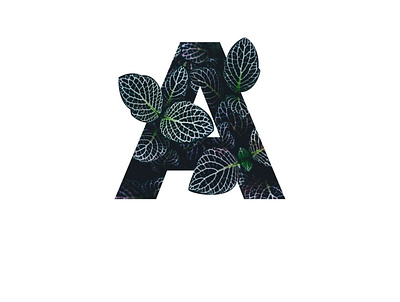 Florist A Logo abstract branding design illustration logo logo design modern modern logo simple simple logo vector
