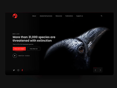 Website - Redlist Concept animals animation black colors design interaction interface ui ux web