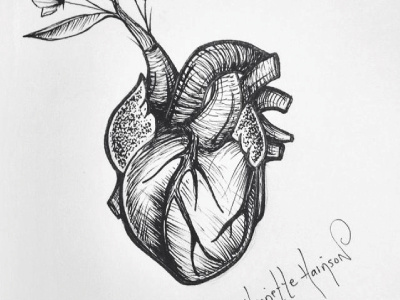 Heart Illustration black drawing heart illustration ink white