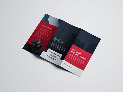 Tri-fold brochure app banner bifold brochure branding brochure business card flyer illustraion lealet product design proposal socialmedia web