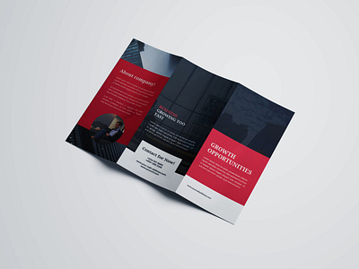 Tri-fold brochure app banner bifold brochure branding brochure business card flyer illustraion lealet product design proposal socialmedia web