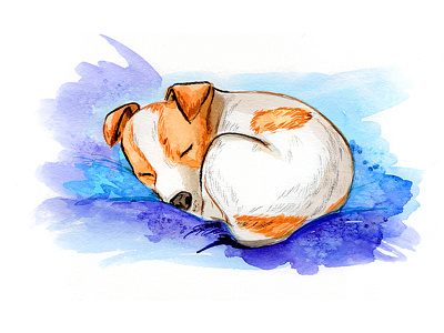 Pet illustration in watercolor dog illustration pet pet care pets watercolor illustration watercolor painting