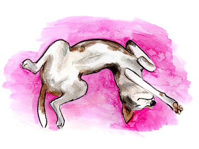 Dog illustration in watercolor, sleeping pet animal cute dog dog illustration dogs pet pets sleep watercolor illustration watercolor painting