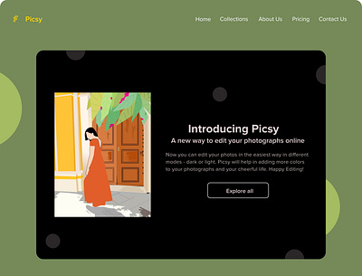 picsy branding design illustration ui