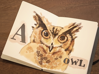 Owl for А drawing illustration