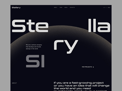 Stellary - venture fund composition design fond landing minimalism typography ui venture website