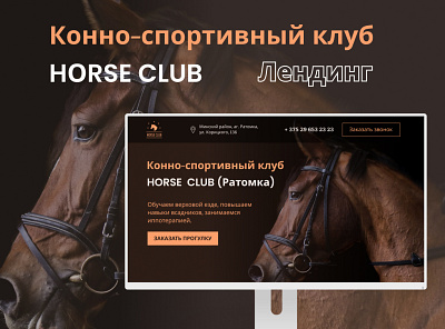 Frame 16 3x club design horse illustration landing landingpage logotype ui uiux ux