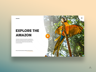 Explore the Amazon amazon design minimal uiux ux web web design webdesign website