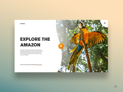 Explore the Amazon