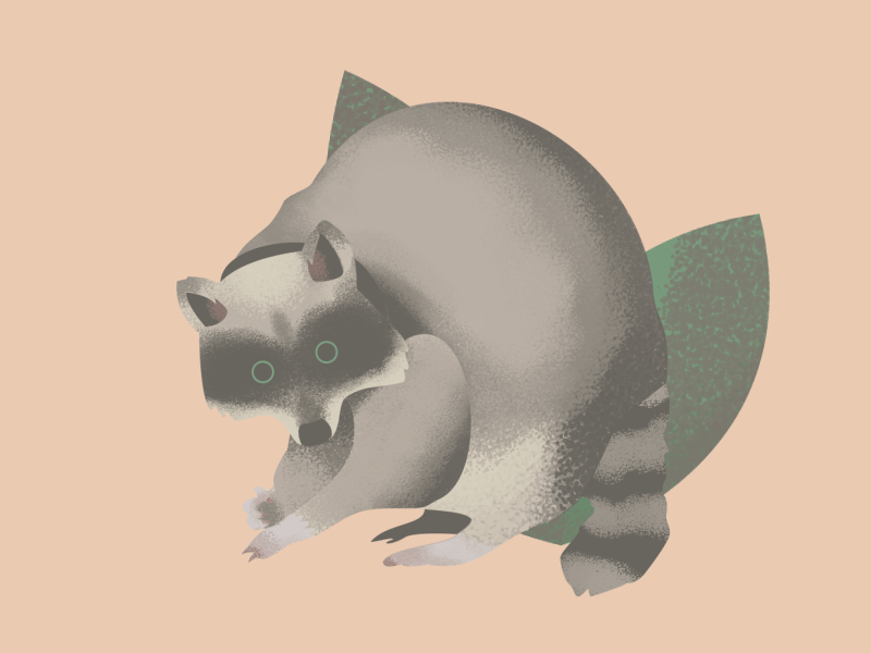 Raccoon animal animatedgif cute illustration raccoon webdesign