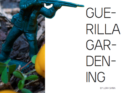 Guerilla Gardening Article magazine photography publication
