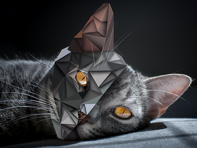 Cat Polygon cat design graphicdesign polygon