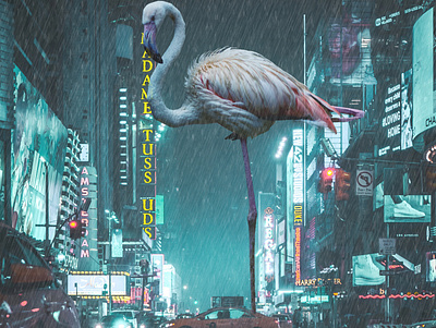 Tiny World Big Bird design graphicdesign image editing image manipulation manipulation photoshop