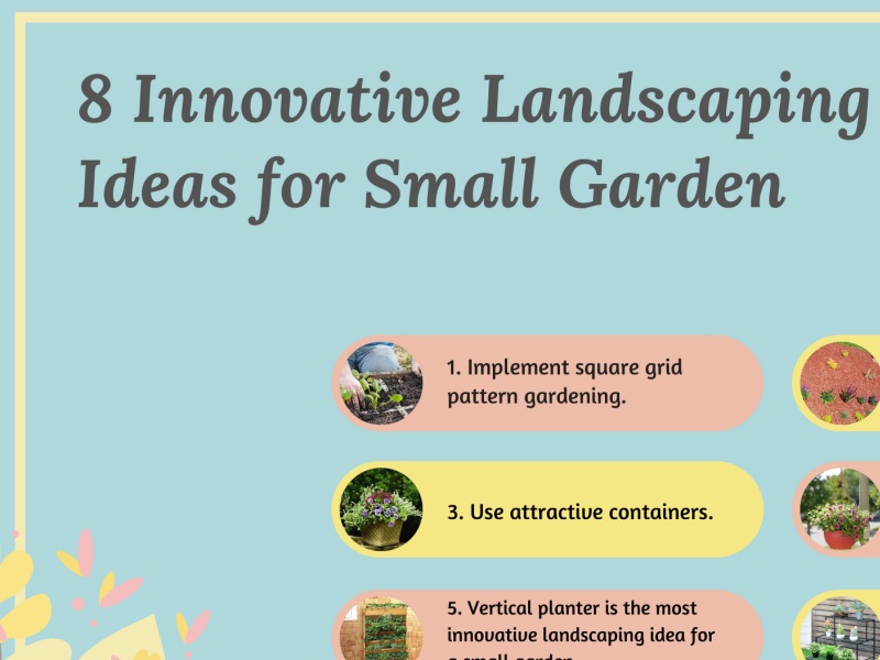 8 Innovative Landscaping Ideas For Small Garden By Nora Thomas On Dribbble