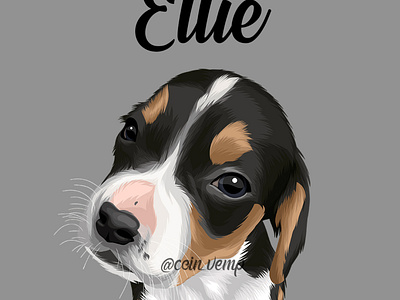 Ellie cat catlover digital illustration digital painting digitalart dobberman doggy doglover paw print paws pet petportrait petproject petvector