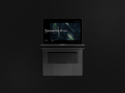Concept of Succulents store app app design black design interface minimal minimalism ui ui design ui ux ux ux design webdesign