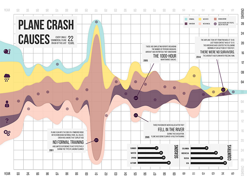 Infographic Plane Crash Causes by Carolin Gebele on Dribbble