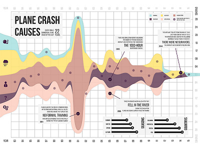 Infographic Plane Crash Causes causes crash data design flight information plane reason visualization