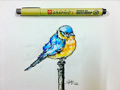 Bird 1 artistsix bird fineart mixedmedium pen vinothkumar watercolour