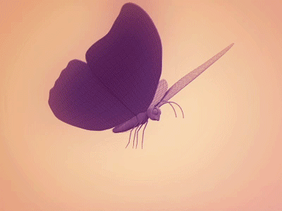 Butterfly (GIF)