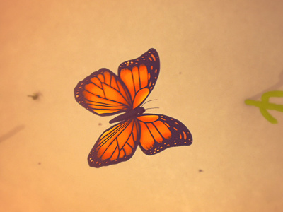 Butterfly 3d butterfly composite desert maya nuke