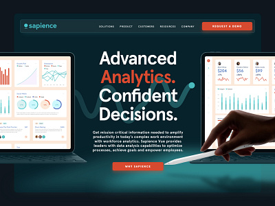 Sapience Analytics Landing Page agency design landing page startup website
