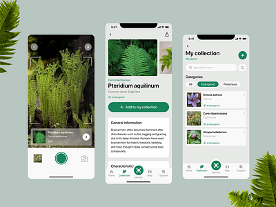 Plant recognition app app design mobile plant screening ui