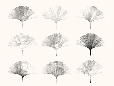 Generative Ginkgo Leaf code creative coding drawing generative glitch art poetic computation processing