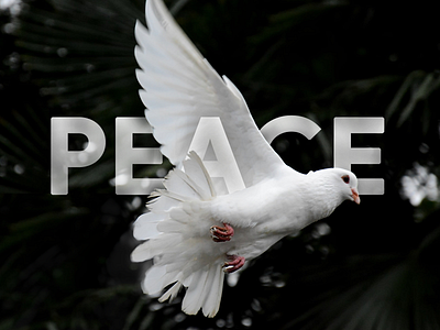 ✌ May God give you 🕊 Peace right now ☮ 3d baptism baptist baptized bible bible verse bird dove fire holy holy spirit jesus jesus christ lettering noah peace peace sign power symbol typography