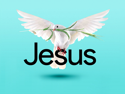 📗 John 1:32 👉 The Holy Spirit descended on Him like a 🕊 Dove. 3d bible bible verse christian dove doves holy holy spirit jesus jesus christ john lettering mockup new testament spirit typography typography art typography design word words