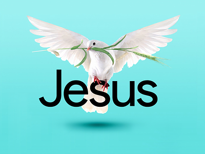 📗 John 1:32 👉 The Holy Spirit descended on Him like a 🕊 Dove.