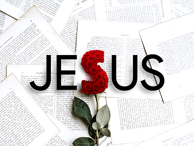 🌹 In the New Testament, Jesus Died & Rose Again bible books flower good news happy jesus lettering letters news newspaper resurrection romantic rose script scroll scrolls single typography valentines day verses