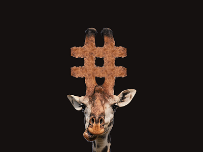Giraffe for @iTrendCasual on IG animal funny giraffe giraffes hashtag humor jungle reindeer safari social trend trend 2018 trend 2019 trending trends trendy wild zoo