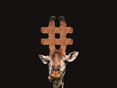 Giraffe for @iTrendCasual on IG