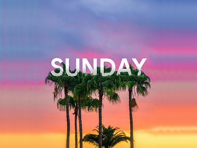 🌴 Palm Sunday beach beaches bible florida hebrew hollywood instagram island israel jerusalem jesus los angeles miami palm palm tree rainbow spectrum sunday sunset trees