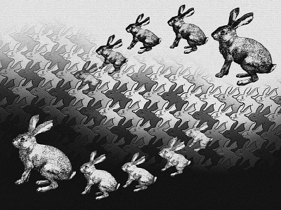 Inspired By Escher #2 design graphic design illustration pattern rabbit