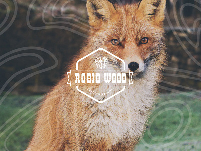 ROBIN WOOD branding carpentry furniture logo wood