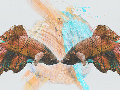 Geometry - Album Art Concept abstract album art cover art design digital fish oil paint orange surreal