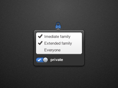 Sharing Settings family popover private public sharing ui