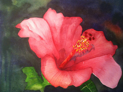 Hibiscus art projects flower painting pink red watercolor