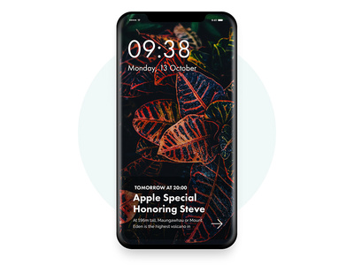iPhone X - iOS 11 Lock Screen