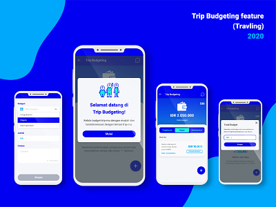 Financial Planner Feature for Travel App adobe xd budgeting design financial travel ui