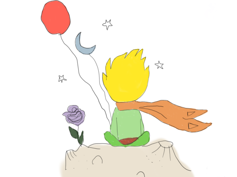 The Little Prince 🌹 by Seda Göçer on Dribbble