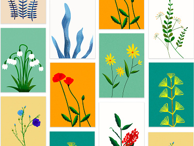 Grass and flowers design flower grass illustraion