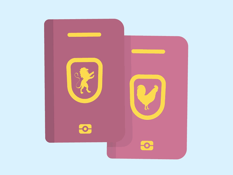 Passport to card transition 2d ae after effects animation illustration motion design motion graphics vector