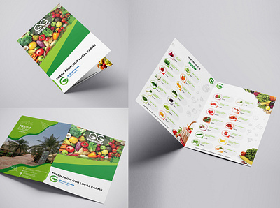Brochure Book | Gracia Farms abudhabi book branding brochure design business card catalog design cmyk design dribbble farm fruits graphicdesign gulf illustration organic organic food uae ui vegetable