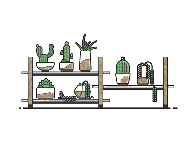 Succulent Study cactus desert flower green illustration plant shelf succulents water