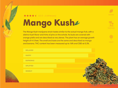 Strain Cards blue design fruit mango marijuana reno strain weed