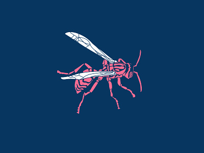 Wasp Illustration
